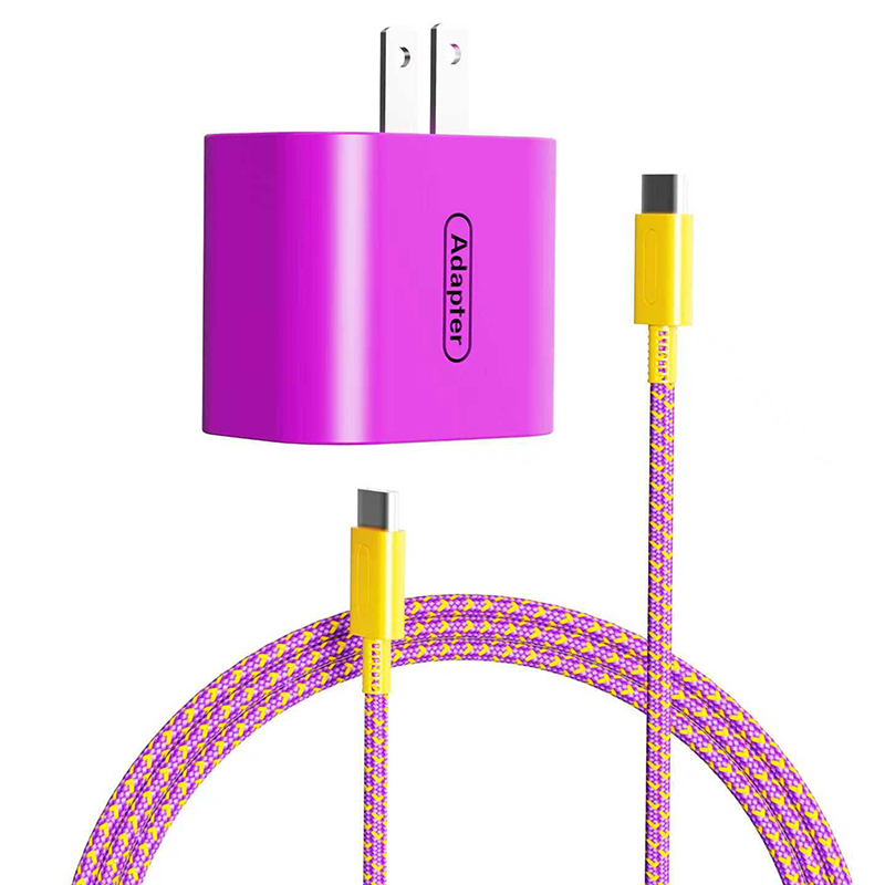 charger for Nintendo suitch2